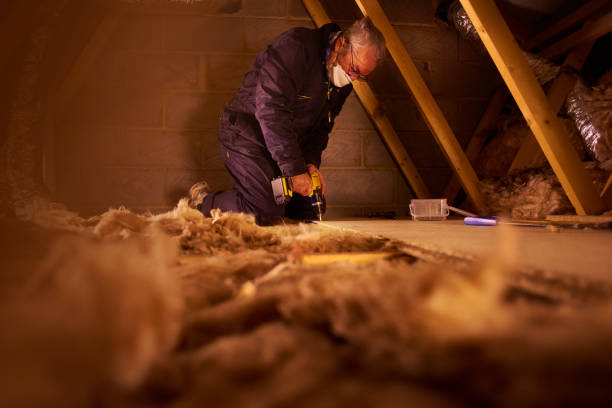 Best Insulation Maintenance and Repair in Monticello, IA